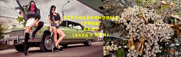 наркотики Алексин